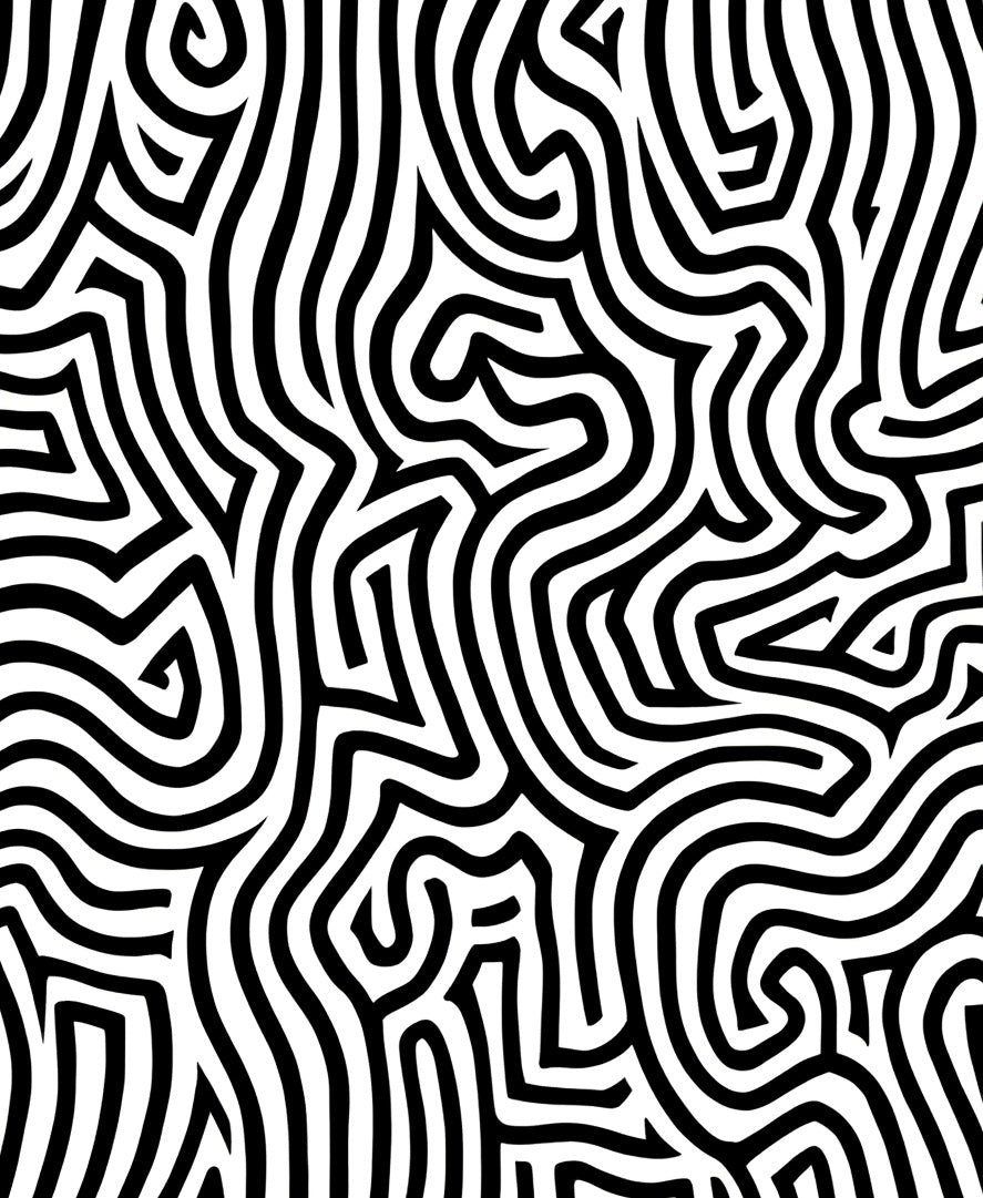 Abstract Black White Maze Pattern Rug