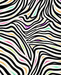 Bold Zebra Print Colorful Accent Rug