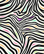 Bold Zebra Print Colorful Accent Rug