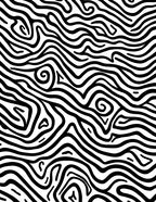 Abstract Black White Swirl Pattern Rug