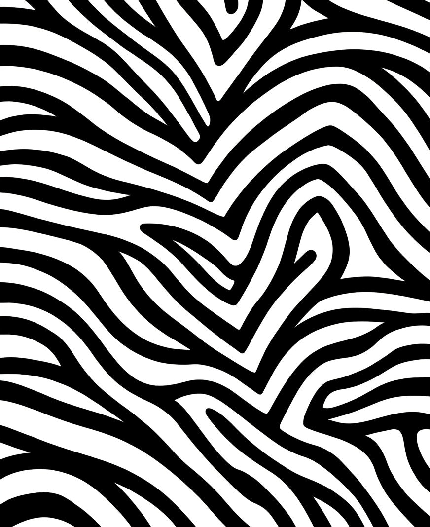 Bold Black White Stripe Pattern Rug