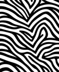 Bold Black White Stripe Pattern Rug
