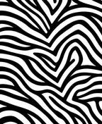 Bold Black White Stripe Pattern Rug