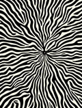 Bold Zebra Print Radiating Pattern Rug