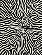 Bold Zebra Print Radiating Pattern Rug