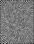 Abstract Zebra Striped Organic Pattern Rug