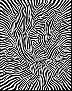 Abstract Zebra Striped Organic Pattern Rug