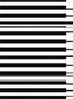 Minimalist Black White Stripes Rug