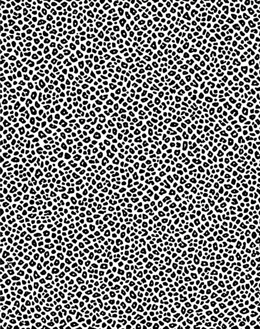Classic Black White Animal Print Rug