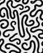 Black Organic Winding Lines Rug