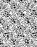 Dalmatian Spot And Swirl Pattern Rug