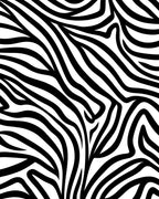 Bold Black White Striped Pattern Rug