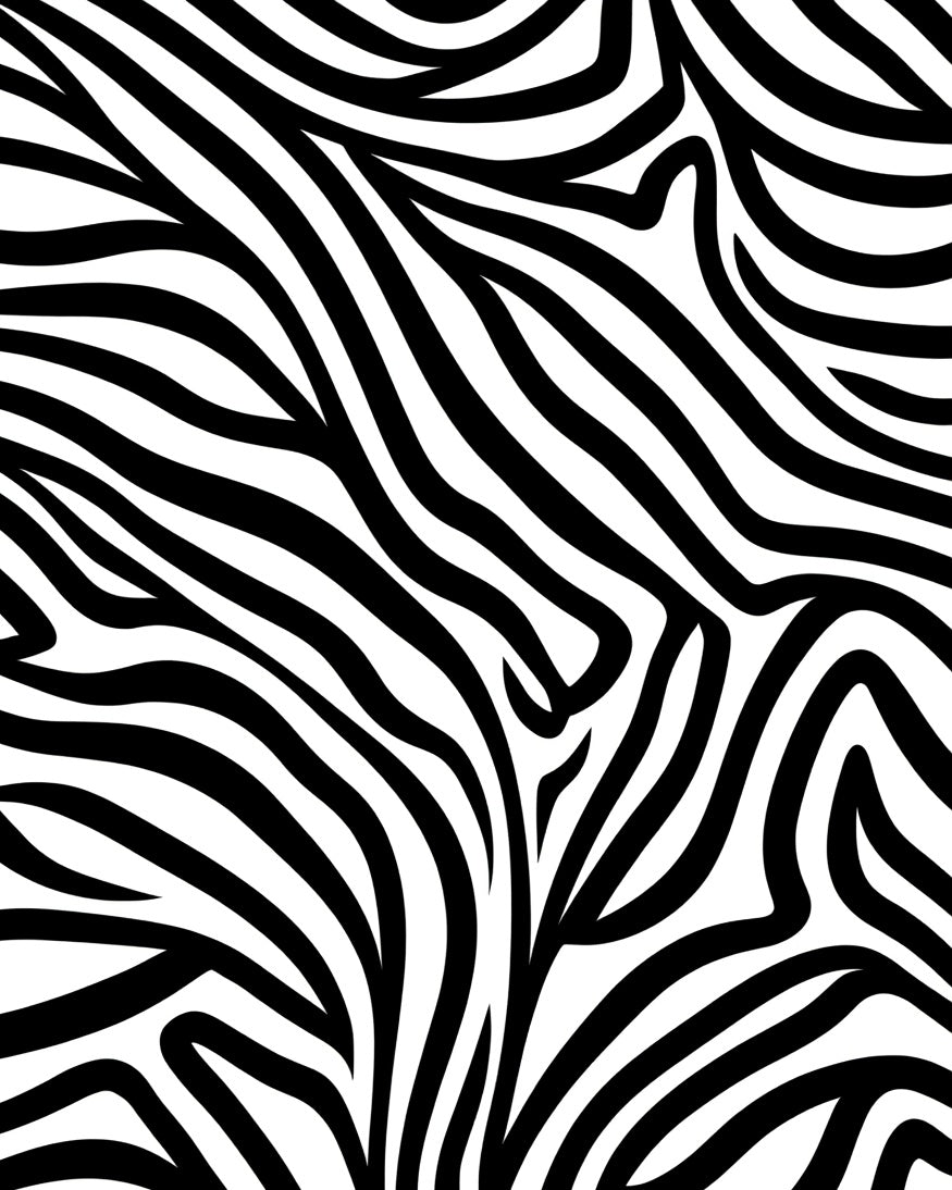 Bold Black White Striped Pattern Rug