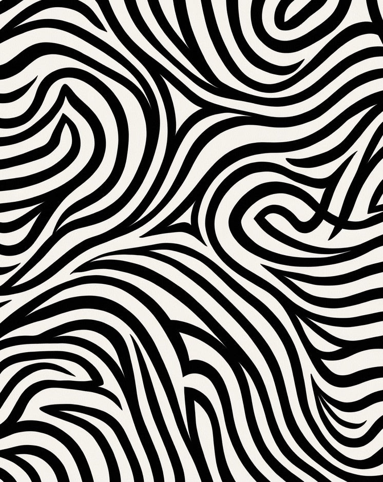 Black and White Swirling Lines Rug