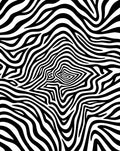 Bold Black And White Zebra Stripe Rug