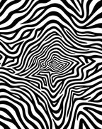 Bold Black And White Zebra Stripe Rug
