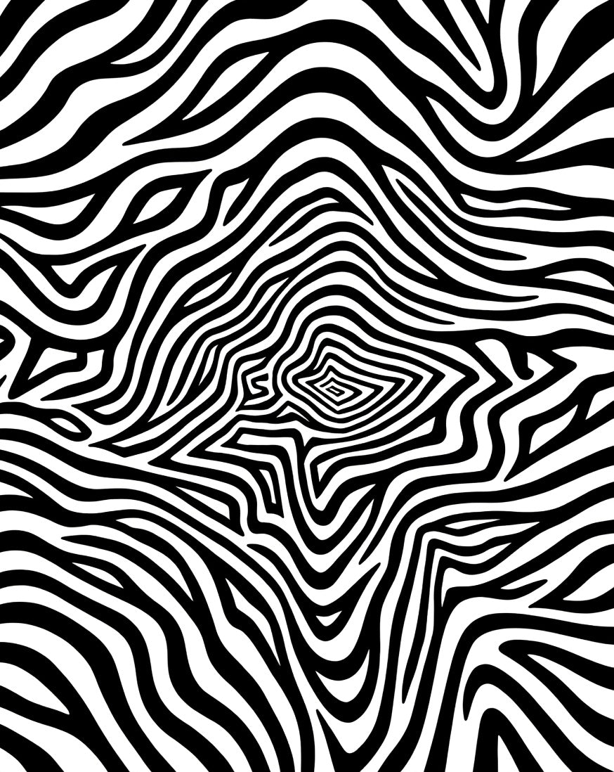 Bold Black And White Zebra Stripe Rug