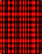 Bold Red Black Plaid Weave Rug