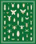 Elegant Insect Illustrations On Green Canvas Rug