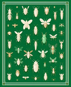Elegant Insect Illustrations On Green Canvas Rug