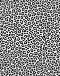 Classic Bold Leopard Spots Rug