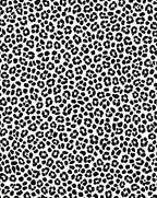 Classic Bold Leopard Spots Rug