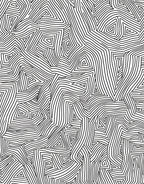 Abstract Black White Organic Geometric Rug