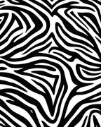 Bold Black White Zebra Pattern Rug