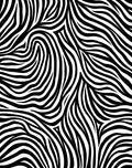 Wild Zebra Stripe Abstract Pattern Rug