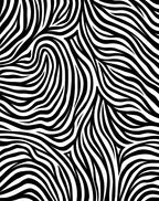 Wild Zebra Stripe Abstract Pattern Rug