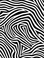 Bold Black White Zebra Pattern Rug