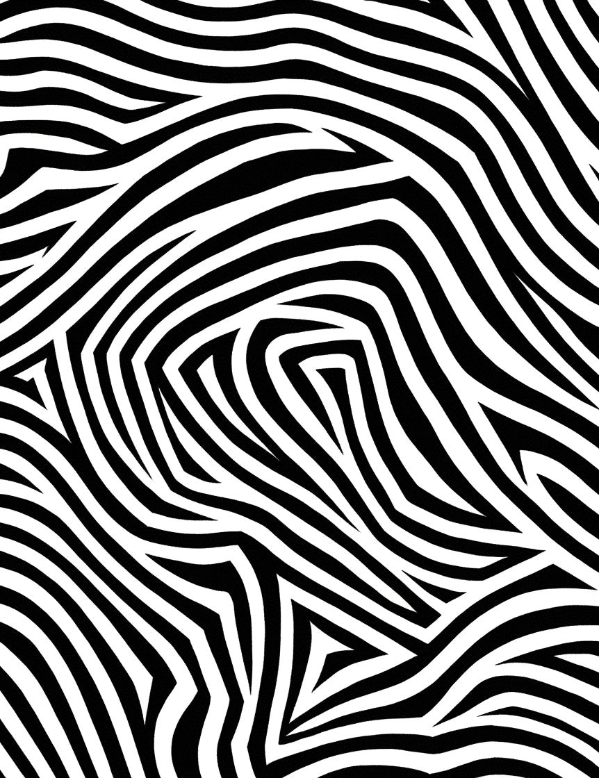 Bold Black White Zebra Pattern Rug