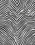 Wild Animal Print Zebra Stripes Rug
