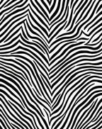 Wild Animal Print Zebra Stripes Rug