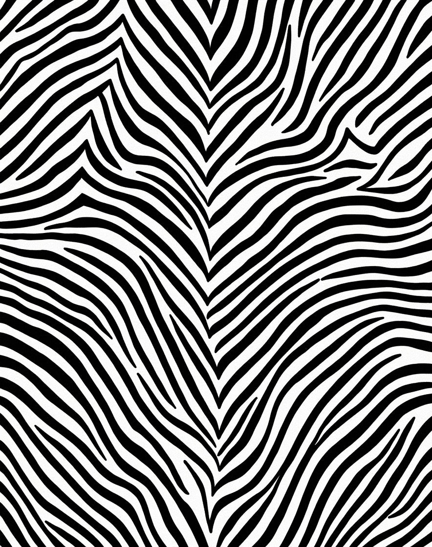 Wild Animal Print Zebra Stripes Rug
