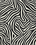 Bold Zebra Striped Pattern Rug