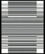 Modern Black White Stripe Graphic Rug