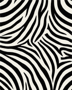 Bold Black White Animal Print Rug