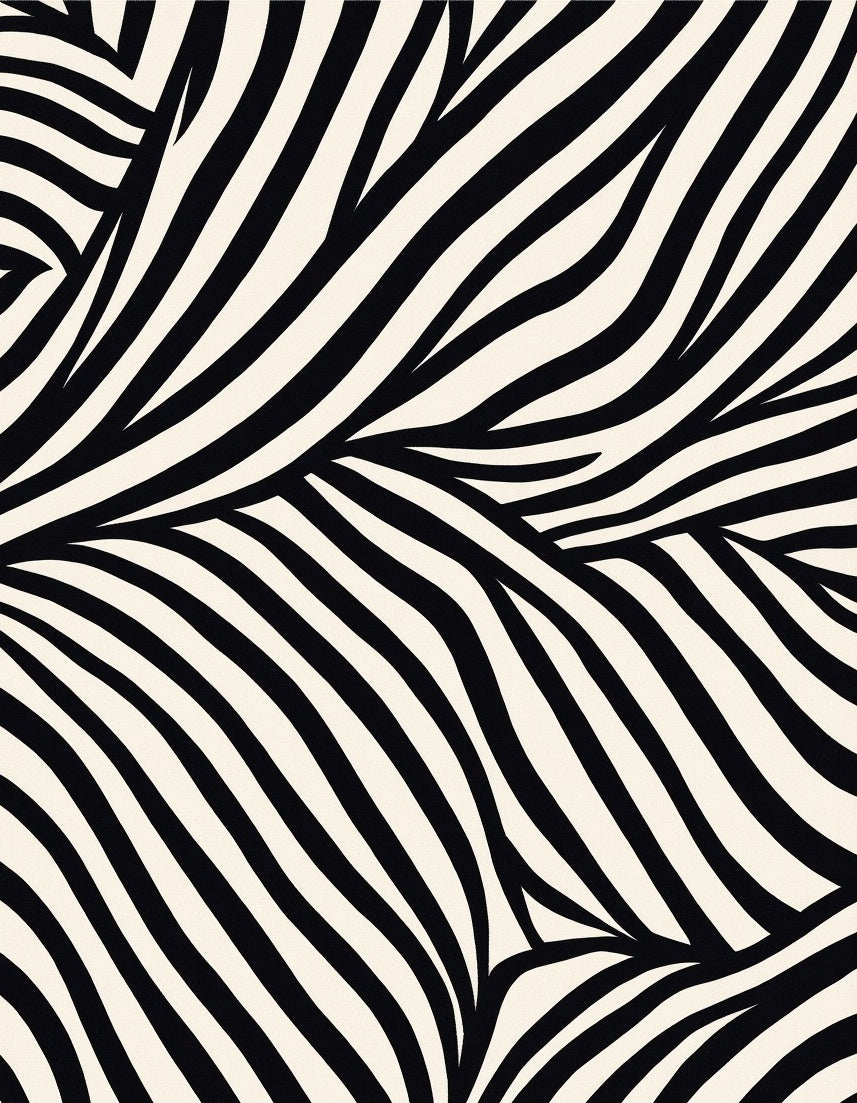 Abstract Black White Contemporary Stripes Rug