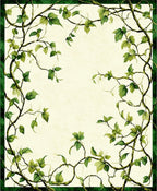 Vining Greenery Tropical Botanical Design Rug