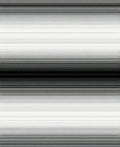 Modern Black White Gradation Stripes Rug