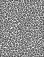 Bold Black White Animal Print Rug