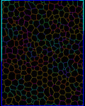 Vibrant Mosaic Cell Pattern Rug