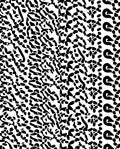 Abstract Black White Organic Pattern Rug