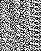 Abstract Black White Organic Pattern Rug