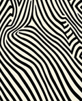 Abstract Black Ivory Wavy Lines Rug