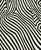 Abstract Black Ivory Wavy Lines Rug