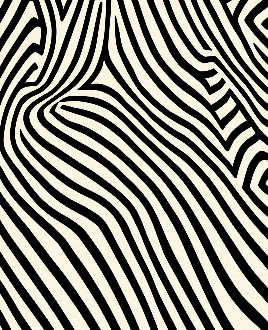 Abstract Black Ivory Wavy Lines Rug