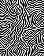 Bold Black White Stripe Pattern Rug