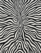 Bold Black White Zebra Strips Rug